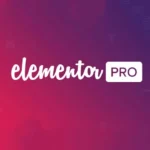 Elementor Pro